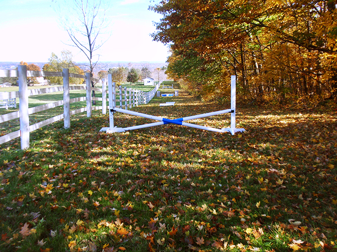 Photo of Ithaca Equestrian center's 2 miles of riding trails